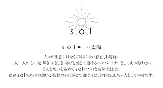 sol�i�\���j�R���Z�v�g